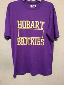 🌷3/$10 Lot of 2 Hobart, Indiana Brickies Game Gear T-shirts size M🌷